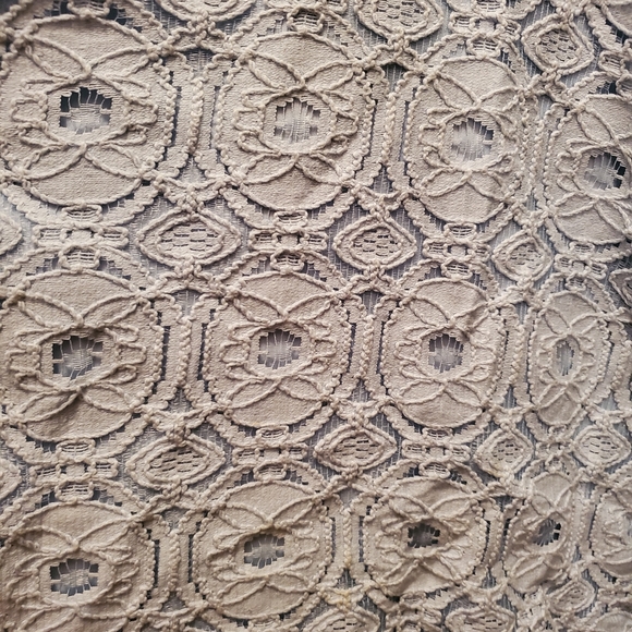 Blue lace fit and flare dress - Picture 3 of 3